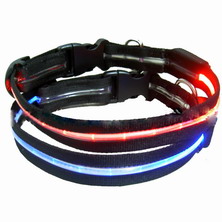 dog collar